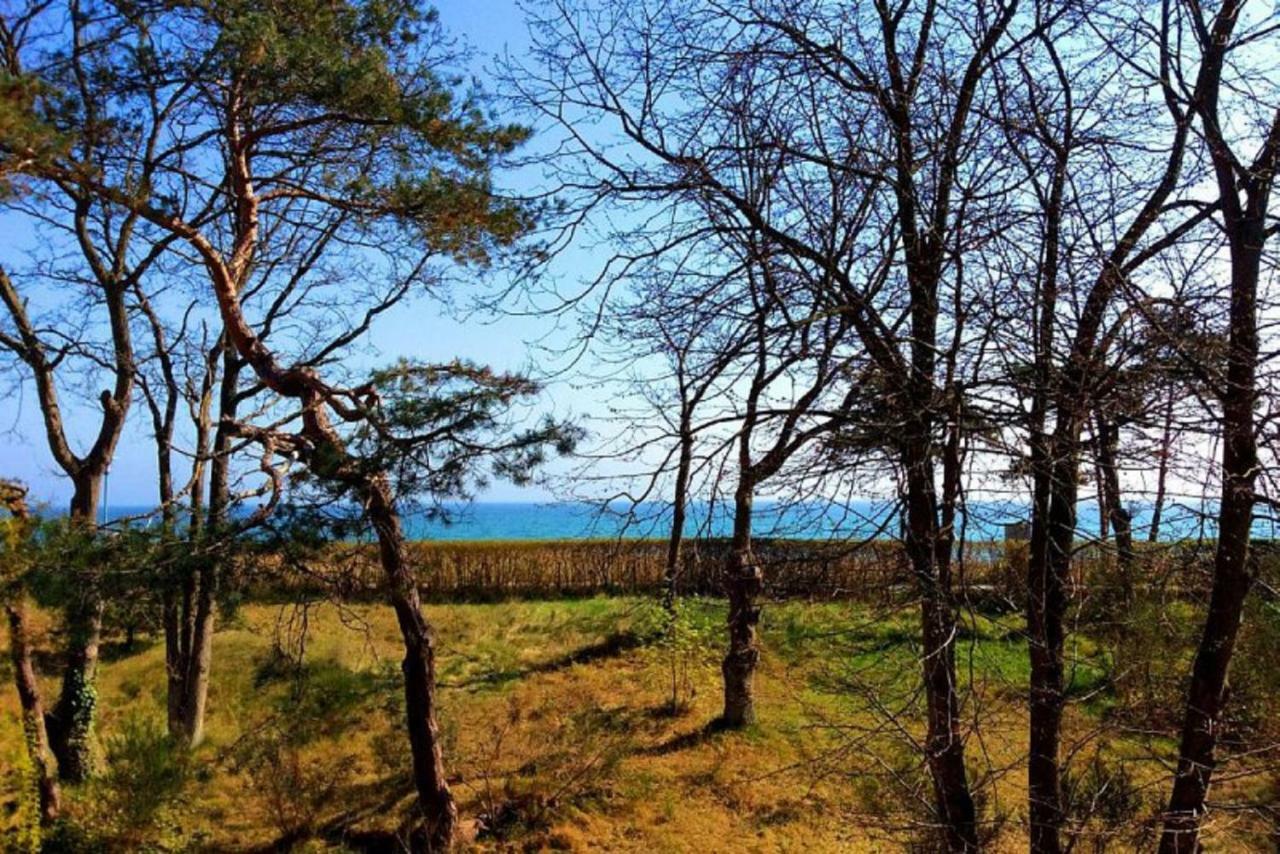 Ferien Arkonablick Appartement *